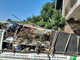 Shed Removal in Lakewood Park, FL